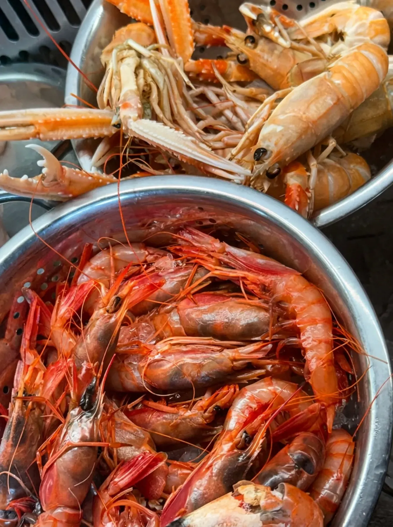 Langoustines and prawns on ice